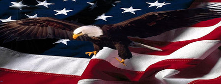 American Flag Eagle Vinyl Graphic Truck Tailgate Wrap American Flag Vinyl Huge American Flag Stickers For Trucks
