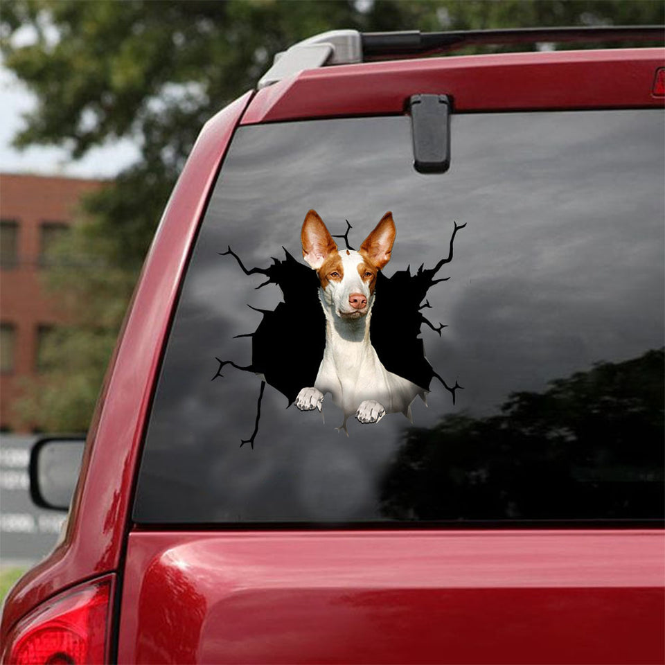 Podenco Crack Stickers For Cars You Cute Bumper Stickers Mother's Day Gifts 2022 - General die-cut waterproof vinyl sticker decal