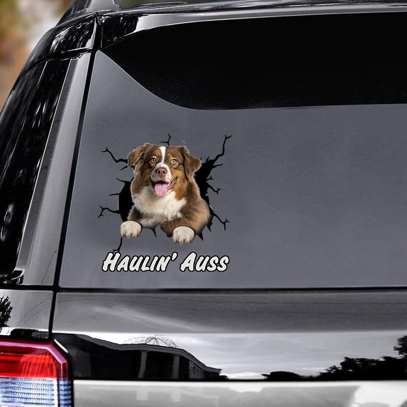 australian-shepherd-crack-car-decals,-funny-dogs-decals-car,-gift-for-car,-dogs-decals-lover,-gift-idea