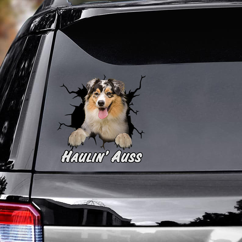 australian-shepherd-crack-car-decals,-window-decals-car,-gift-for-dogs-lover,-pet-decals-car,-gift-idea