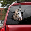 [sk1848-snf-tnt]-andalusian-horse-crack-sticker-cattle-lover