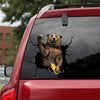 Bear Camping Crack Sticker Car Funny Friendship Stickers Gifts For Dad - Wildlife & Nature die-cut waterproof vinyl sticker decal