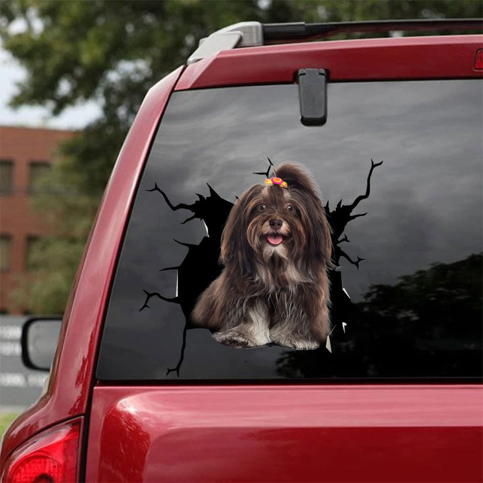 [bh0255-snf-lad]-havanese-crack-car-sticker-dogs-lover