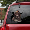 [bh0255-snf-lad]-havanese-crack-car-sticker-dogs-lover