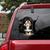 [bh0259-snf-lad]-havanese-crack-car-sticker-dogs-lover
