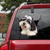 [bh0260-snf-lad]-havanese-crack-car-sticker-dogs-lover
