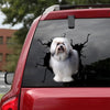 Löwchen Crack Decal For Rear Window Wiper Your Cute Custom Sticker Labels Valentines Gifts - General die-cut waterproof vinyl sticker decal