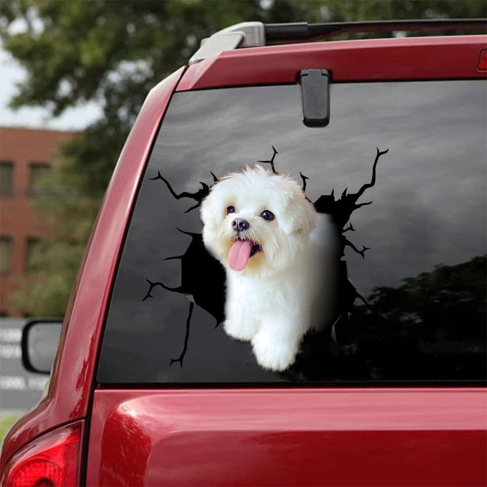 Maltese Crack Duck Decal Pretty Cute Water Bottle Labels Birthday Gift For Boyfriend - Dog Lovers die-cut waterproof vinyl sticker decal