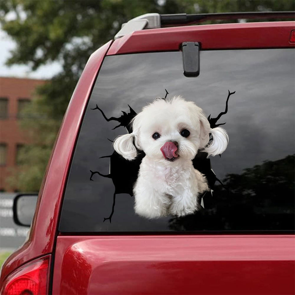 Maltese Crack Sticker Design The Cutest Vinyl Labels Care Package Ideas - Dog Lovers die-cut waterproof vinyl sticker decal