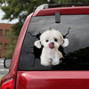 Maltese Crack Sticker Design The Cutest Vinyl Labels Care Package Ideas - Dog Lovers die-cut waterproof vinyl sticker decal