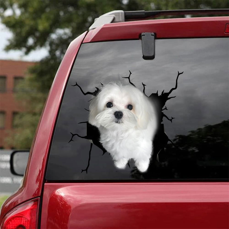 Maltese Crack Sticker Door Cool Custom Stickers Best Gifts 2021 - Dog Lovers die-cut waterproof vinyl sticker decal