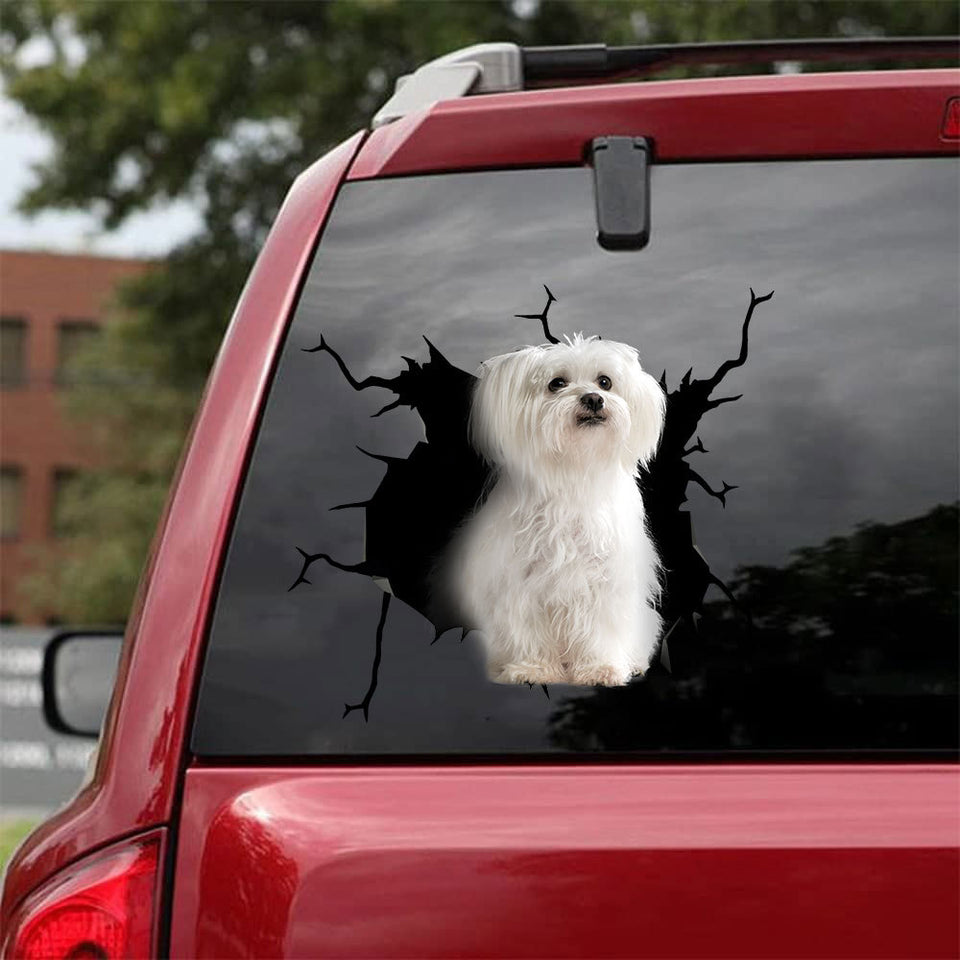 Maltese Crack Sticker Design Nice Vinyl Sticker Maker Gifts For Coworkers - Dog Lovers die-cut waterproof vinyl sticker decal