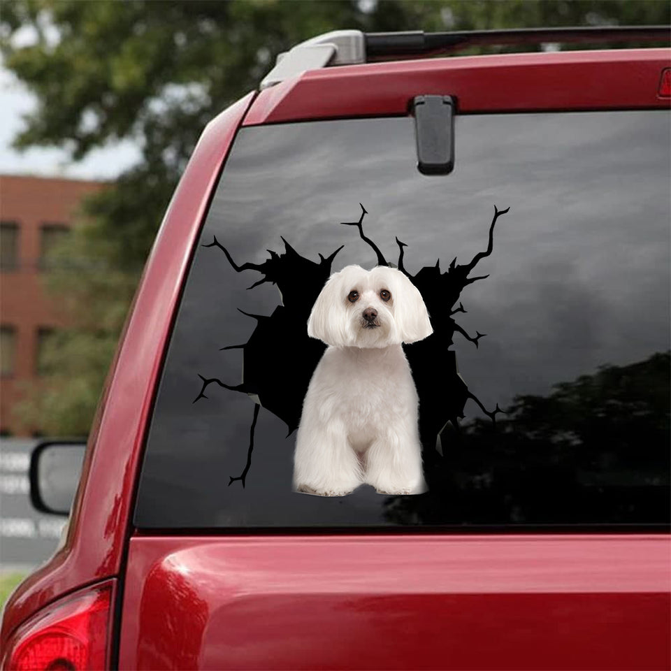 Maltese Crack Decal For Boat Humor Transfer Stickers Valentines Gifts - Dog Lovers die-cut waterproof vinyl sticker decal