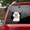 Maltese Crack Sticker Album Funny Wall Decor Car Decals Gifts For Men - Dog Lovers die-cut waterproof vinyl sticker decal