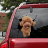 Poodle Crack Decal Car Funny Magnetic Stickers Golf Gifts For Men - Dog Lovers die-cut waterproof vinyl sticker decal