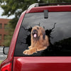 Briard Crack Sticker Decals Funny Jokes Water Bottle Stickers Retirement Gifts For Women - General die-cut waterproof vinyl sticker decal