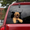 Briard Crack Decal For Back Car Window A Cute Custom Vinyl Stickers 21st Birthday Gift Ideas - General die-cut waterproof vinyl sticker decal