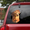 [bh0297-snf-lad]-dachshund-crack-car-sticker-dogs-lover