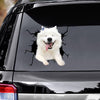[bh0306-snf-lad]-samoyed-crack-car-sticker-dogs-lover