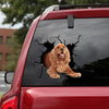 [bh0312-snf-lad]-cocker-spaniel-crack-car-sticker-dogs-lover