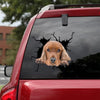 [bh0313-snf-lad]-cocker-spaniel-crack-car-sticker-dogs-lover
