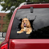 [bh0316-snf-lad]-cocker-spaniel-crack-car-sticker-dogs-lover