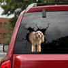 [bh0321-snf-lad]-cocker-spaniel-crack-car-sticker-dogs-lover