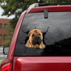 Shar-pei Crack Sticker Car Window Cuteness Overloaded Making Stickers With Decals Teacher Gifts - Dog Lovers die-cut waterproof vinyl sticker decal