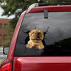 Shar-pei Crack Decals For Windows A Cute Car Bumper Stickers First Anniversary Gift - Dog Lovers die-cut waterproof vinyl sticker decal