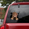 Shar-pei Crack Decor Decal Funny Quotes Custom Wall Decal Gifts For Him - Dog Lovers die-cut waterproof vinyl sticker decal