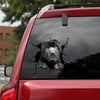 Shar-pei Crack Decal For Rear Window Wiper Cute Waterproof Labels Fathers Day Crafts - Dog Lovers die-cut waterproof vinyl sticker decal