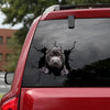 Shar-pei Crack Decal Sticker Car Likeable Magnetic Stickers Gifts For Grandma - Dog Lovers die-cut waterproof vinyl sticker decal
