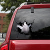 Penguin Crack Decal For Back Car Window Funny Birthday Memes Custom Logo Stickers Mens Valentines Gifts - Wildlife & Nature die-cut waterproof vinyl sticker decal