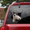 Cat Crack Decor Decal Cute Custom Logo Stickers Best Gifts - Cat Lovers die-cut waterproof vinyl sticker decal
