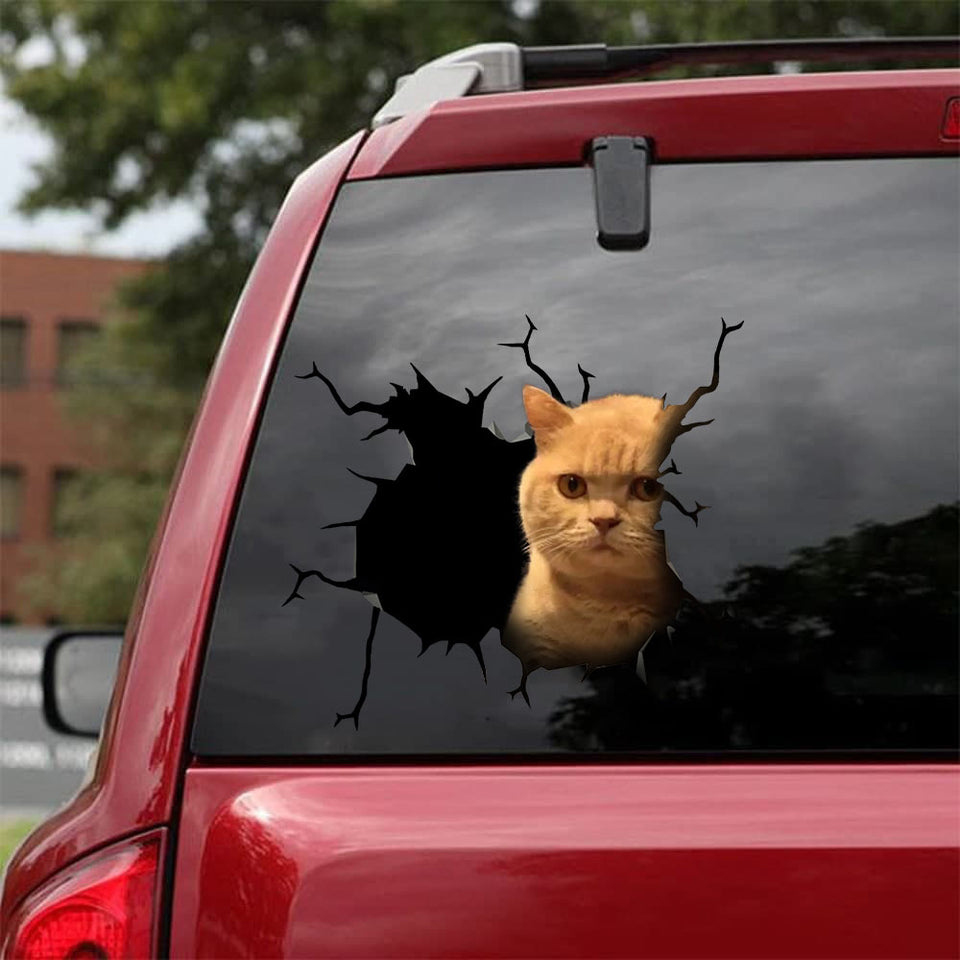 Cat Crack Decal For Wall Your Cute Anime Car Decals Gifts For Wife - Cat Lovers die-cut waterproof vinyl sticker decal