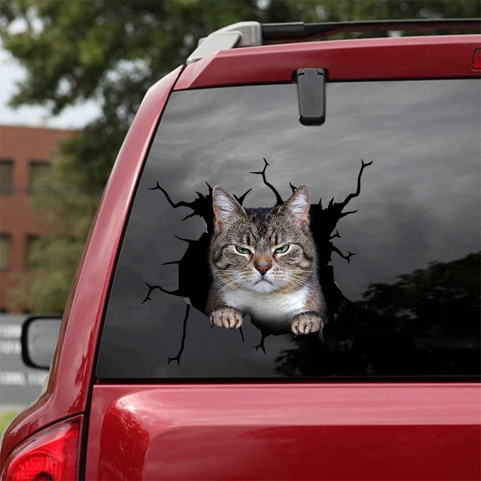 Cat Crack Decal Ideas Cool Bee Stickers Birthday Gift For Girlfriend - Cat Lovers die-cut waterproof vinyl sticker decal