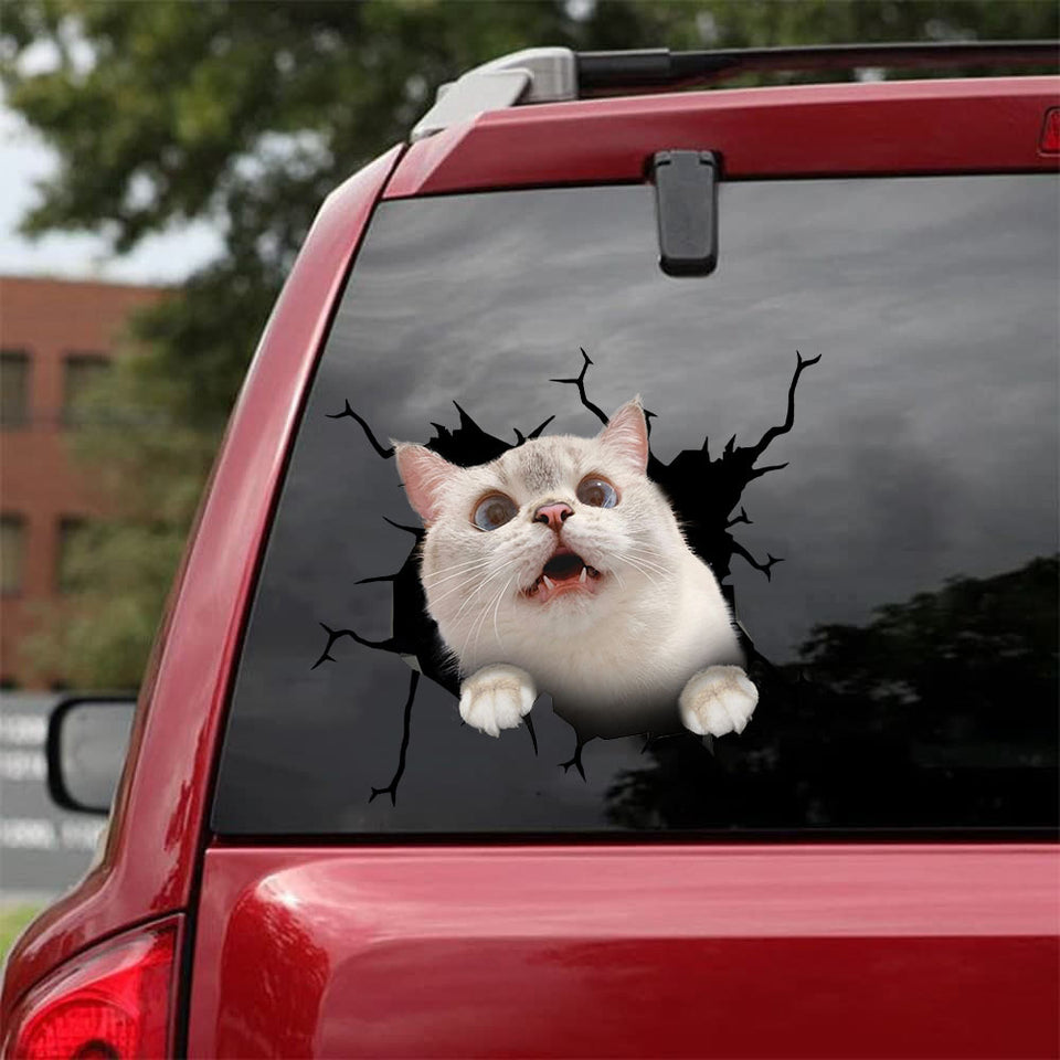 Cat Crack Sticker Sheets Funny Wall Decor Clear Sticker Paper 21st Birthday Gift Ideas - Cat Lovers die-cut waterproof vinyl sticker decal