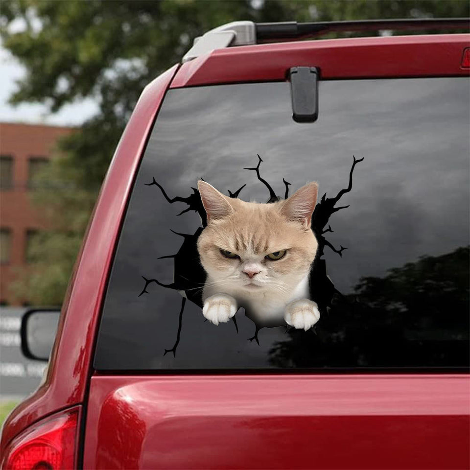 Cat Crack Decal For Back Car Window Fun Vehicle Decals Birthday Gift - Cat Lovers die-cut waterproof vinyl sticker decal