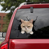 Cat Crack Decal For Back Car Window Fun Vehicle Decals Birthday Gift - Cat Lovers die-cut waterproof vinyl sticker decal