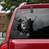 Australian Kelpie Crack Mom Car Decal The Cutest Decal Stickers Best Christmas Gifts For Mom - Family & Home die-cut waterproof vinyl sticker decal