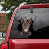 Australian Kelpie Crack Sticker For Car Window Likeable Car Sticker Christmas Gifts For Wife - General die-cut waterproof vinyl sticker decal