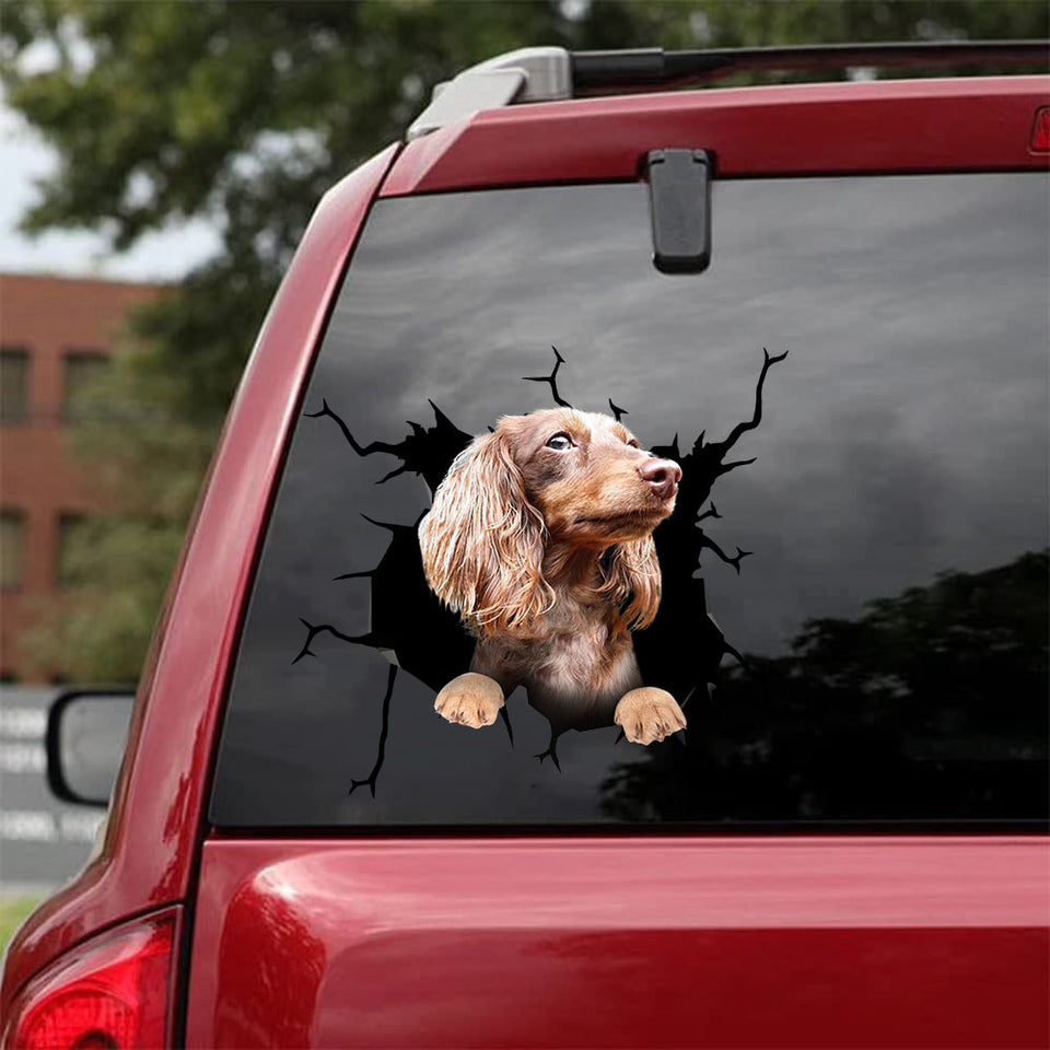 Dachshund Crack Decals Funny Pictures Big Stickers 60th Birthday Ideas - Dog Lovers die-cut waterproof vinyl sticker decal