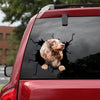 Dachshund Crack Decals Funny Pictures Big Stickers 60th Birthday Ideas - Dog Lovers die-cut waterproof vinyl sticker decal