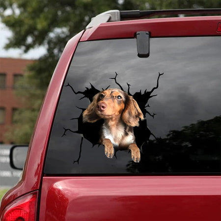 Dachshund Crack Sticker Car Funny Memes Custom Wall Decal Best Gifts - Dog Lovers Sticker view #8