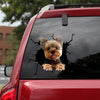 Yorkshire Terriers Crack Stickers For Cars Funny Vinyl Decals Get Well Soon Gifts - Dog Lovers die-cut waterproof vinyl sticker decal