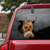 Yorkshire Terriers Crack Door Decal Funny Making Stickers With Decals Mother's Day Gifts - Dog Lovers die-cut waterproof vinyl sticker decal