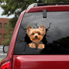 Yorkshire Terrier Crack Sticker Pack Your Cute Magnetic Stickers Best Gifts For Women - Dog Lovers die-cut waterproof vinyl sticker decal