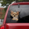 Yorkshire Terrier Crack Sticker Custom Funny Jokes Sticker Designs Christmas Ideas For Teens - Dog Lovers die-cut waterproof vinyl sticker decal