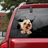 Yorkshire Terrier Crack Sticker Kawaii Funny Gifs Magnetic Stickers 3rd Anniversary Gift - Dog Lovers die-cut waterproof vinyl sticker decal