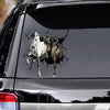 [bh0525-snf-lad]-horse-car-crack-sticker-horses-lover